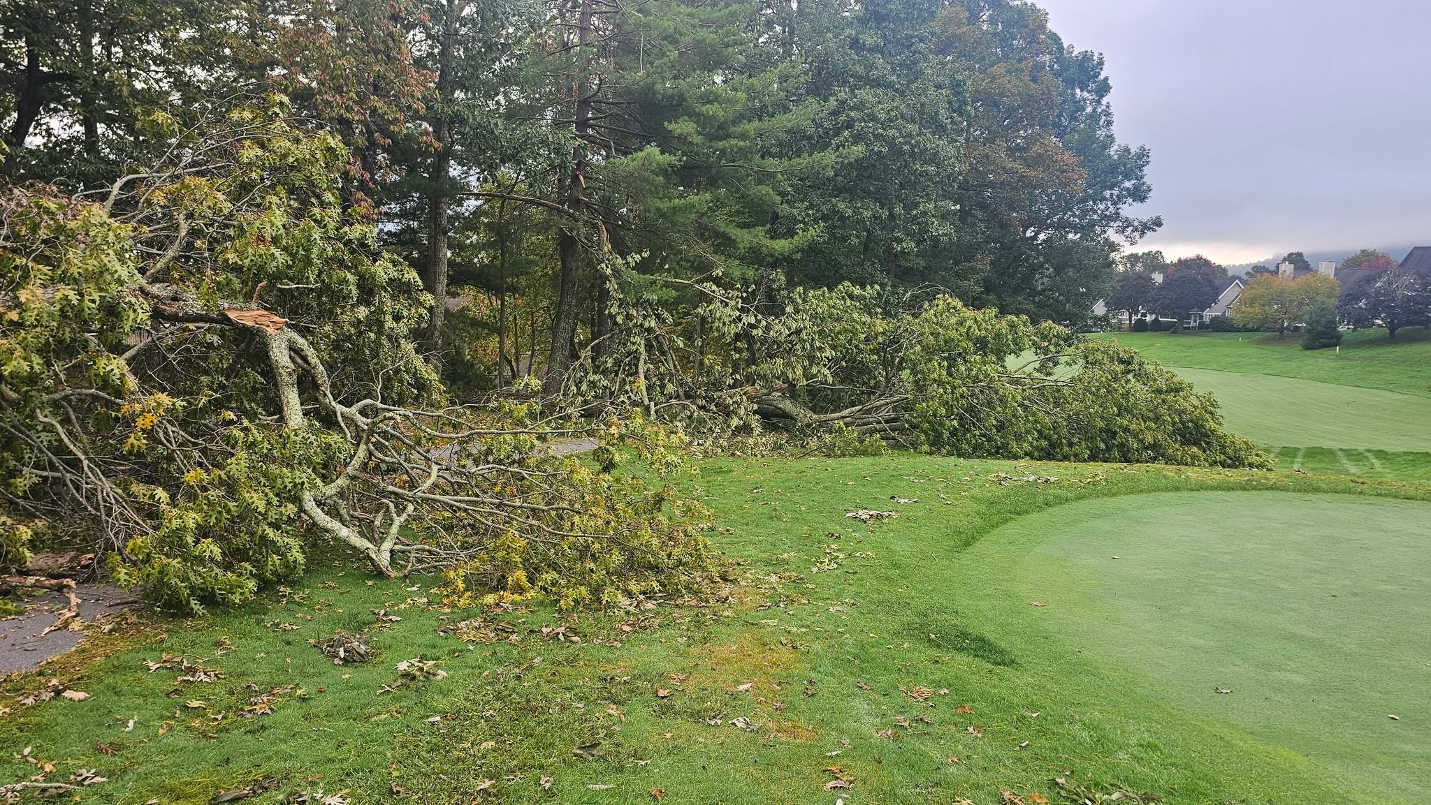 Kenmure Golf Maintenance added 19 new photos.