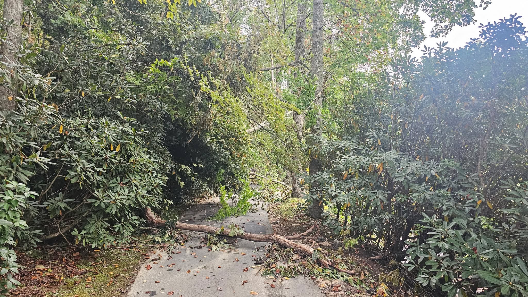 Kenmure Golf Maintenance added 19 new photos.